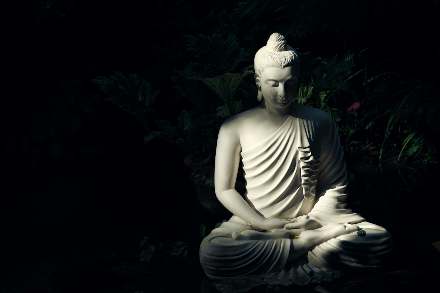 Shakyamuni - Bouddha historique